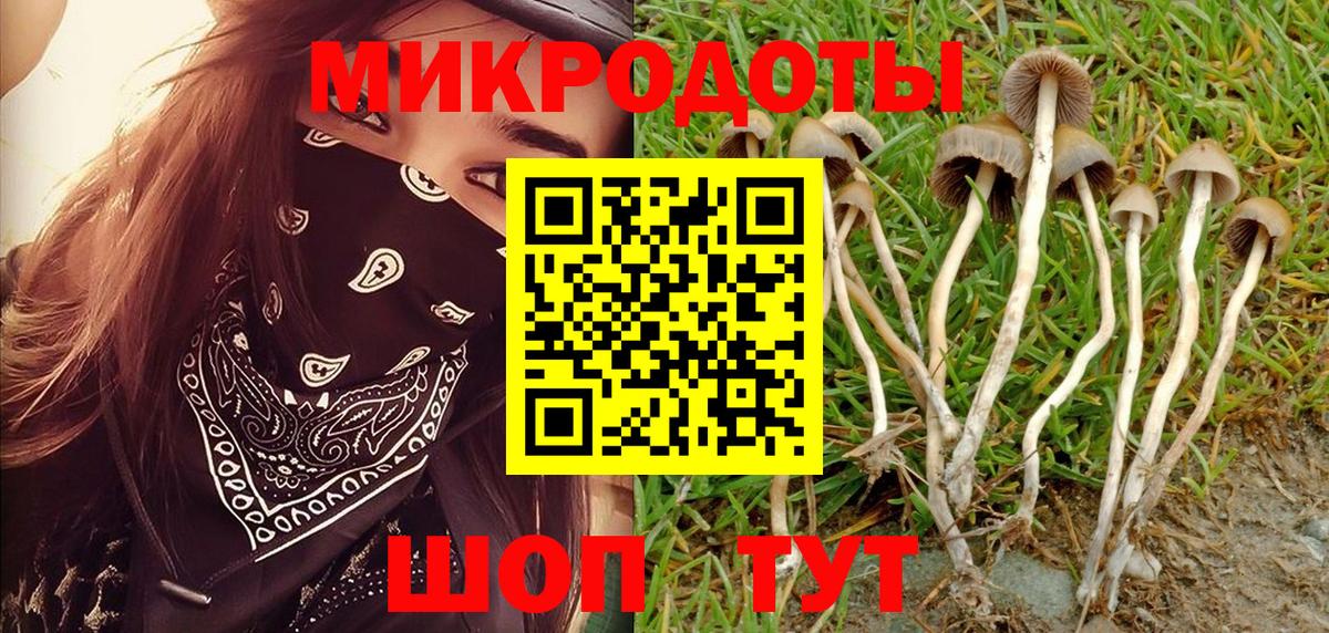 Галлюциногенные грибы мицелий  Вход с VPN  Сорочинск 